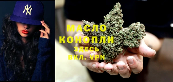 дмт Снежногорск