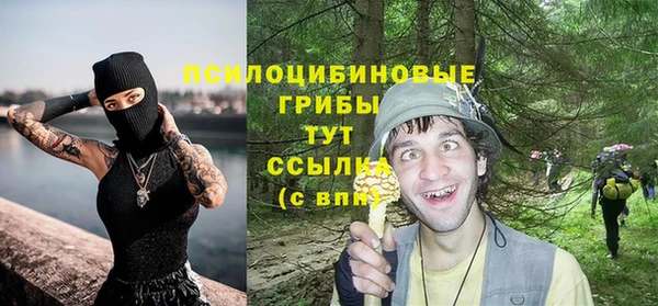 первитин Снежинск