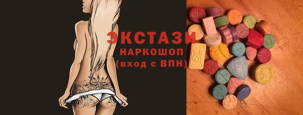 дмт Снежногорск