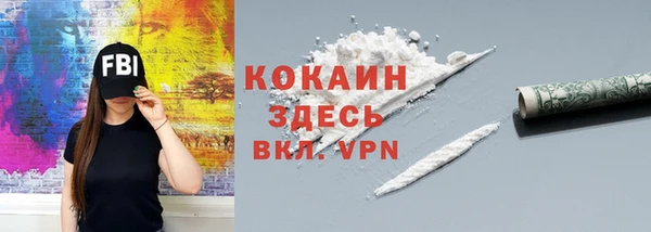 дмт Снежногорск