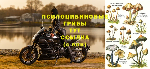 дмт Снежногорск