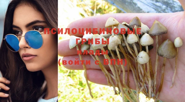 дмт Снежногорск