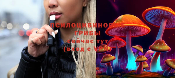первитин Снежинск