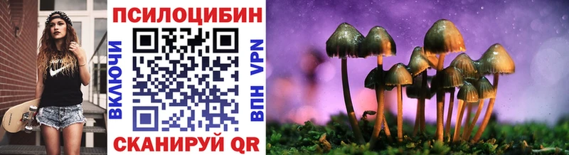 Купить где  Далматово  Псилоцибиновые грибы MAGIC MUSHROOMS 