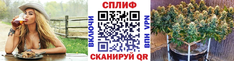 Купить  Далматово  Марихуана индика 